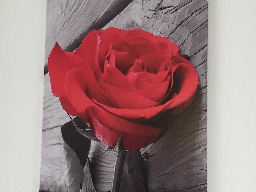 시라쿠사 Rosa Di Ortigia 아파트 외부 사진